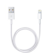 Кабель Lightning/USB (ME291ZM/A)