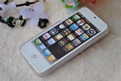 Пластиковый чехол со стразами Flowers Girl для iPhone 5